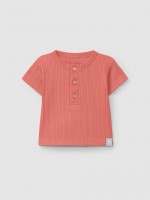 Corail