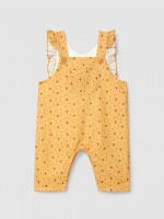 Ocher